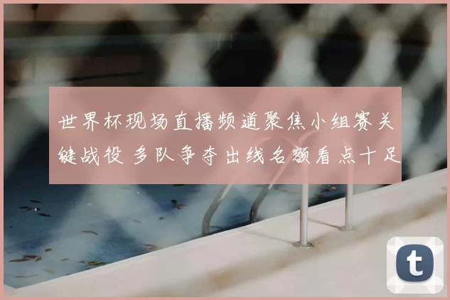 世界杯现场直播频道聚焦小组赛关键战役 多队争夺出线名额看点十足