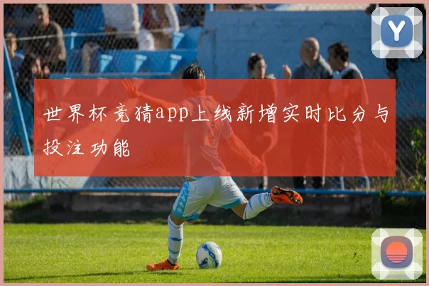 世界杯竞猜app上线新增实时比分与投注功能