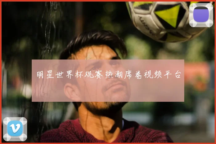 明星世界杯观赛热潮席卷视频平台