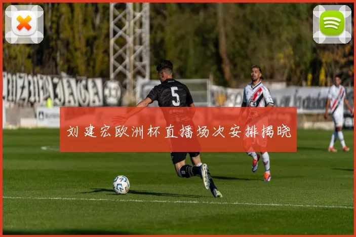 刘建宏欧洲杯直播场次安排揭晓