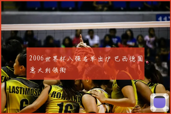 2006世界杯八强名单出炉 巴西德国意大利领衔