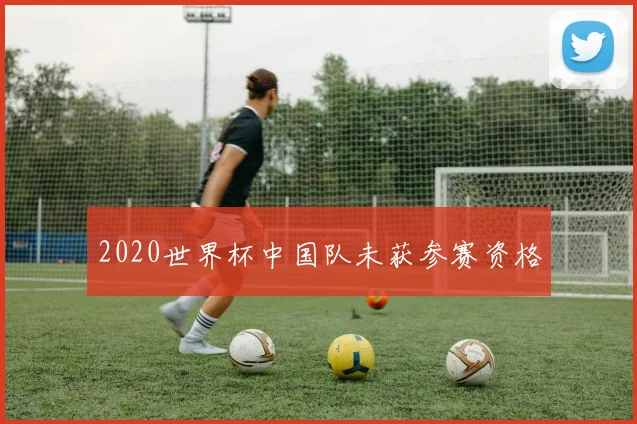 2020世界杯中国队未获参赛资格